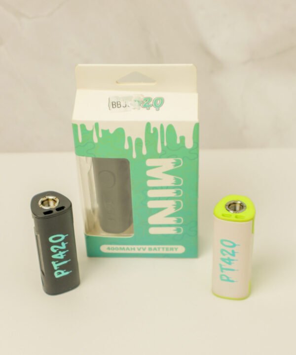 IMG_2401 🔋 Batería PT420