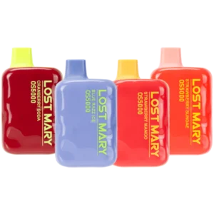 🪐 LOST MARY OS 5000